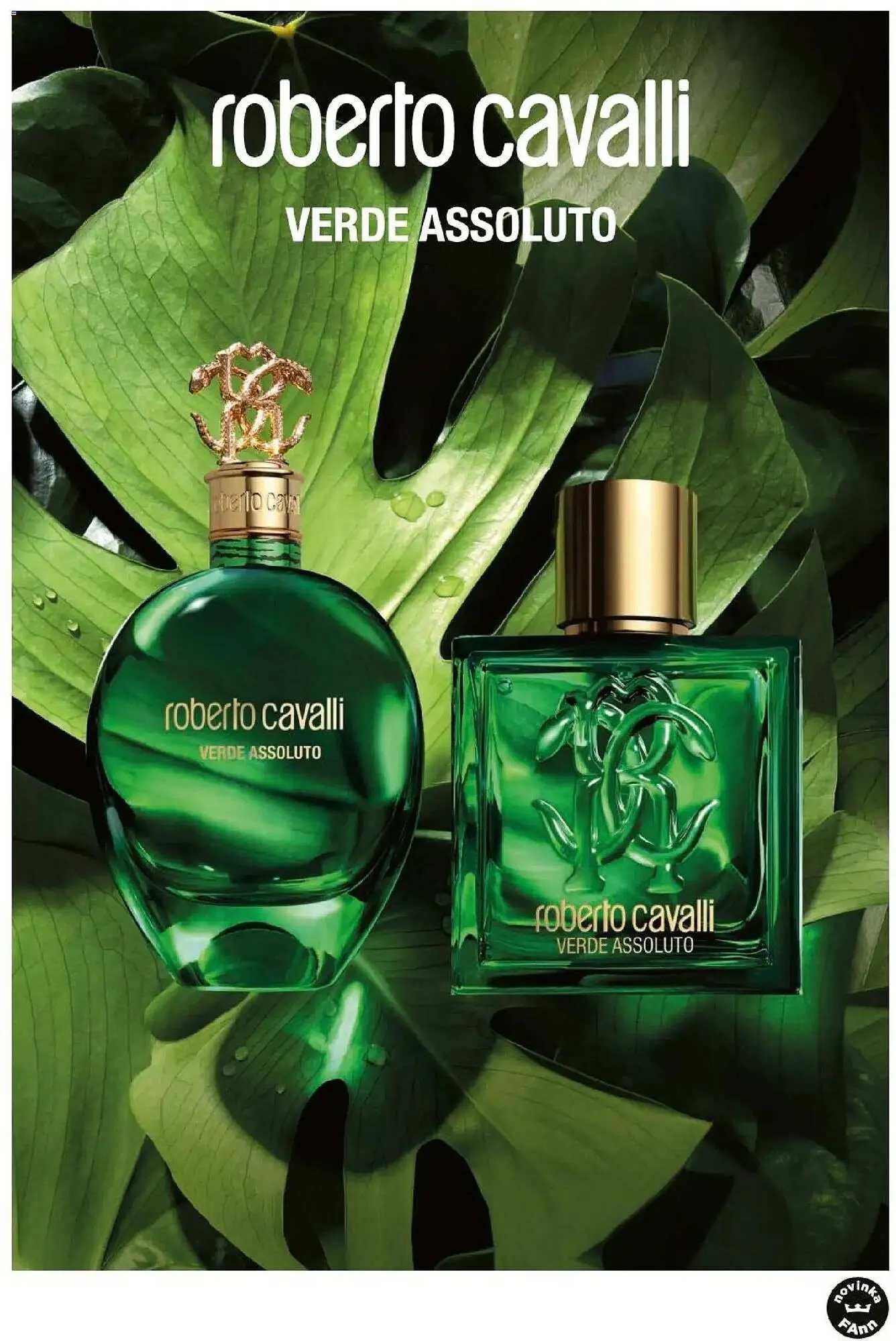 Fann Parfumerie leták - 24. února 31. května 2026 - Page 71