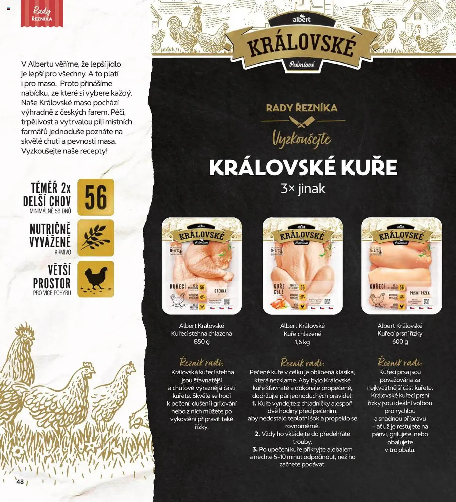 Albert leták - 1. února 28. února 2025 - Page 48