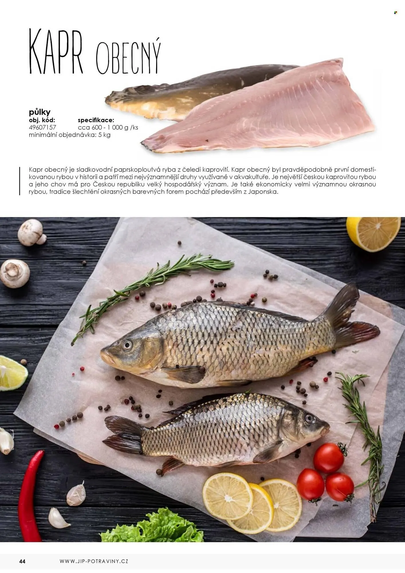 Jip leták - 7. května 31. prosince 2025 - Page 44