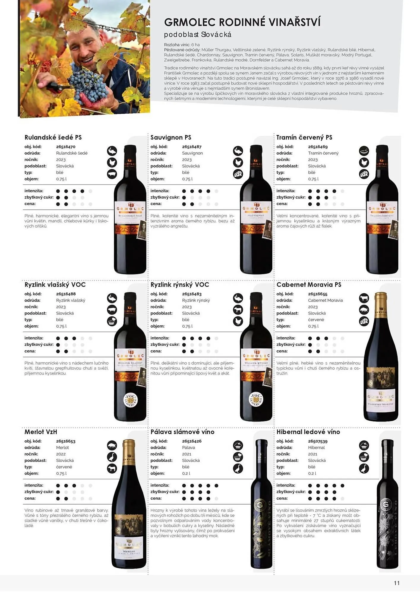 Jip leták - 9. března 31. prosince 2025 - Page 13