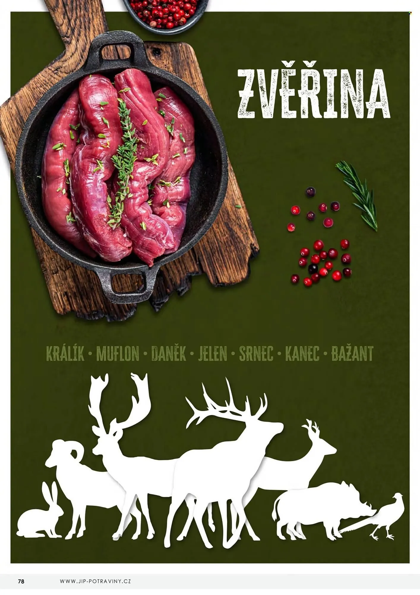 Jip leták - 23. dubna 31. prosince 2026 - Page 78