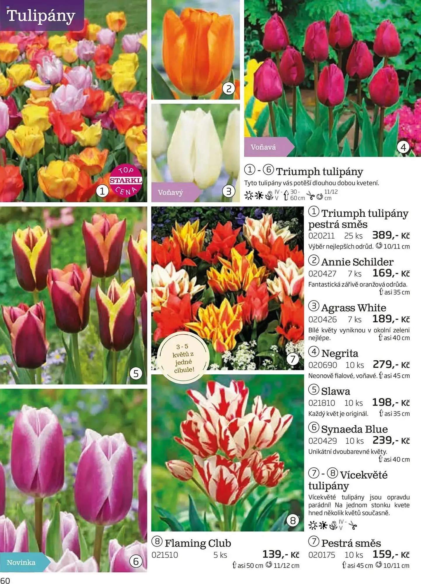 Starkl leták - 1. srpna 30. listopadu 2025 - Page 60