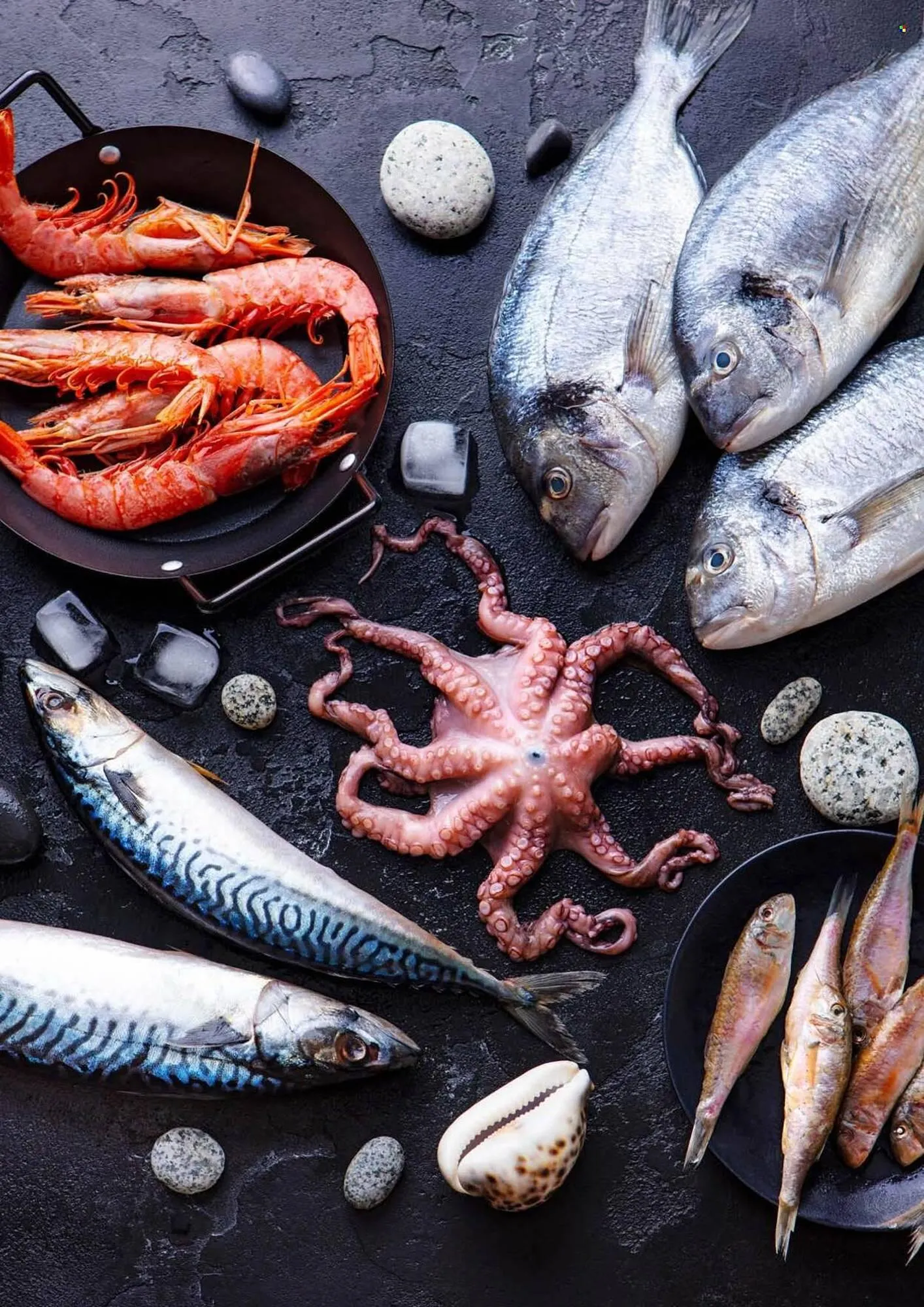 Jip leták - 7. května 31. prosince 2025 - Page 66