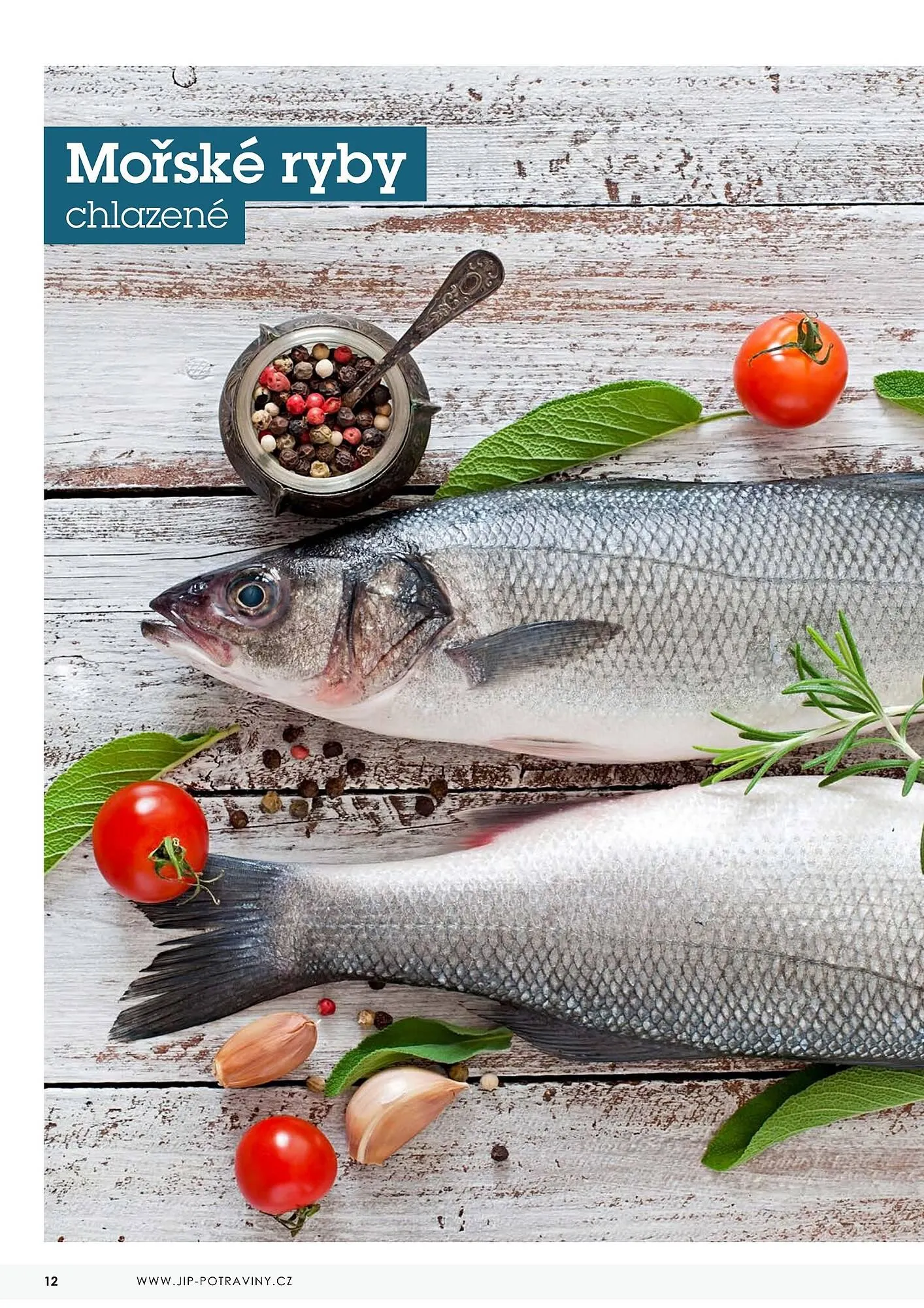 Jip RYBY leták - 22. května 29. prosince 2023 - Page 12