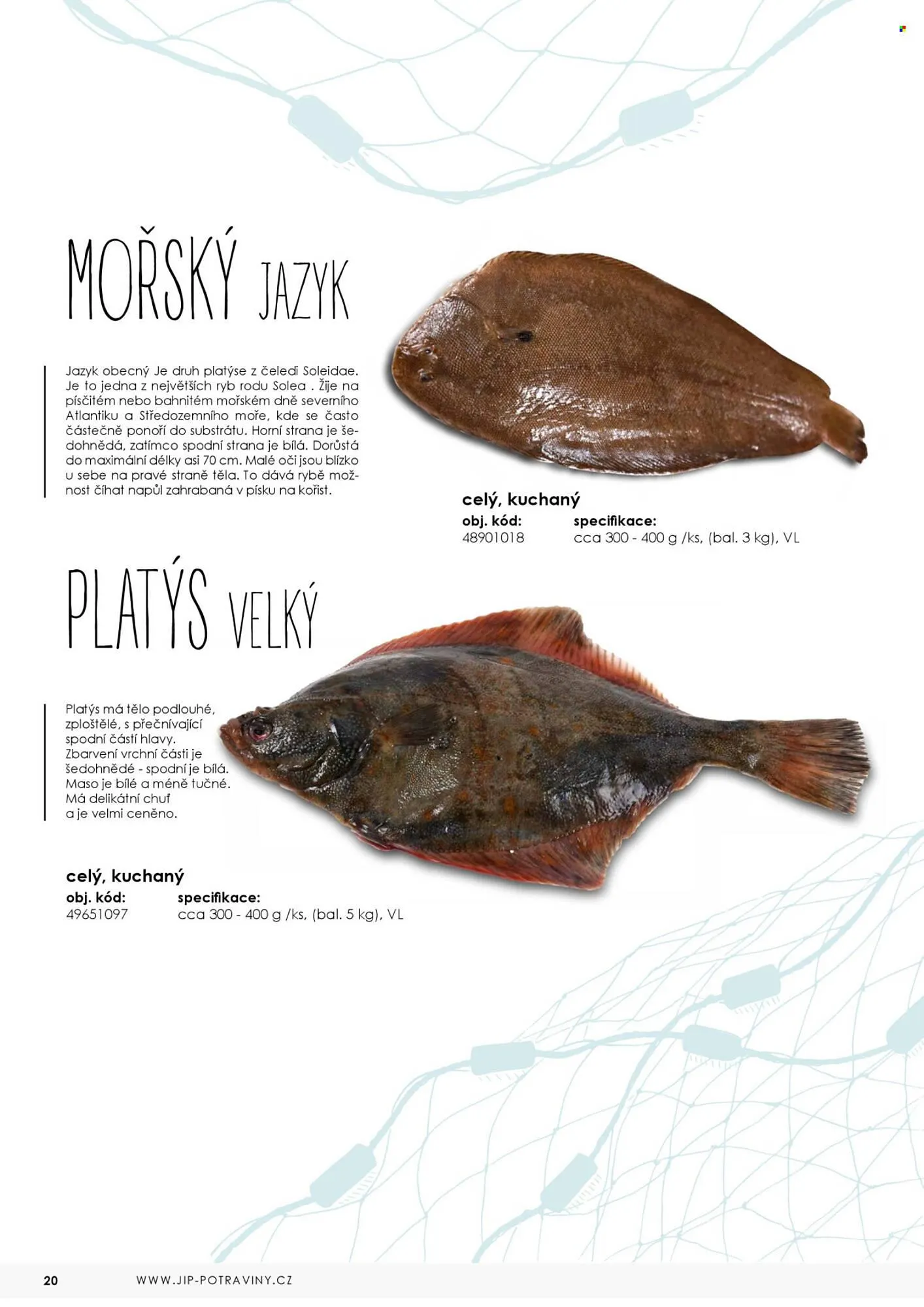 Jip leták - 7. května 31. prosince 2025 - Page 20