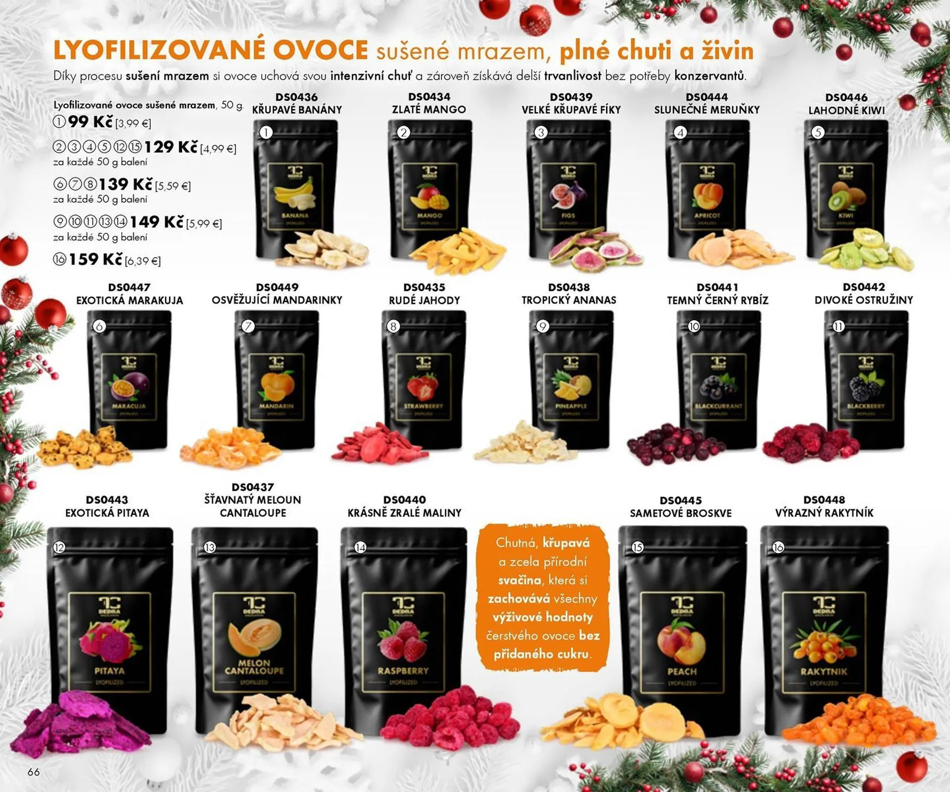 Dedra leták - 1. října 15. prosince 2025 - Page 66