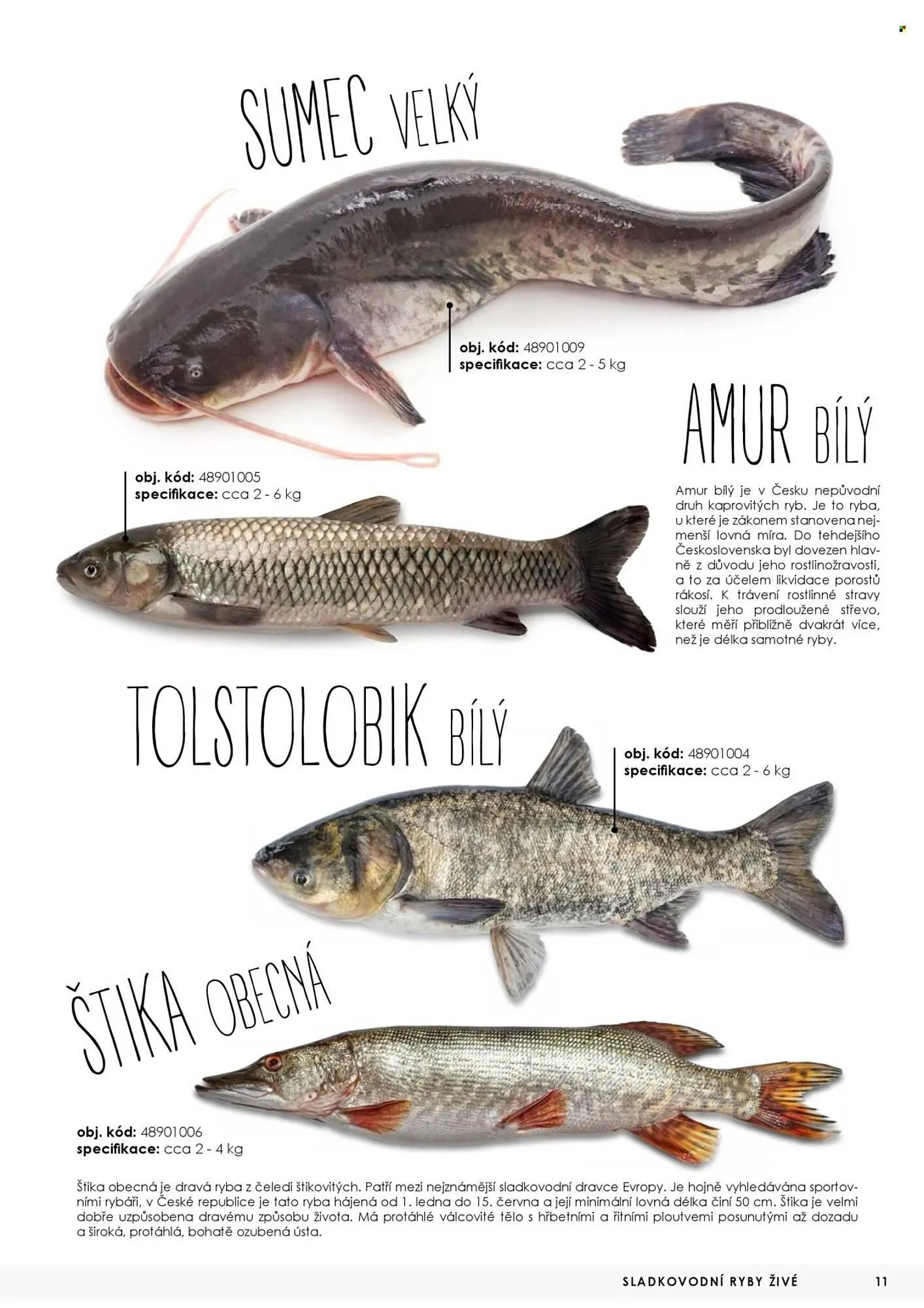 Jip leták - 7. května 31. prosince 2025 - Page 11