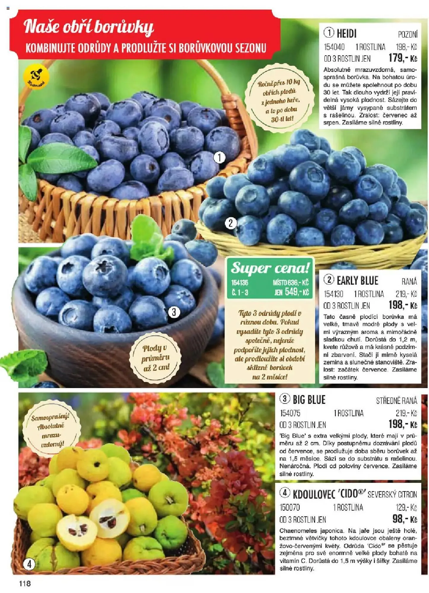 Starkl leták - 6. ledna 31. května 2025 - Page 118