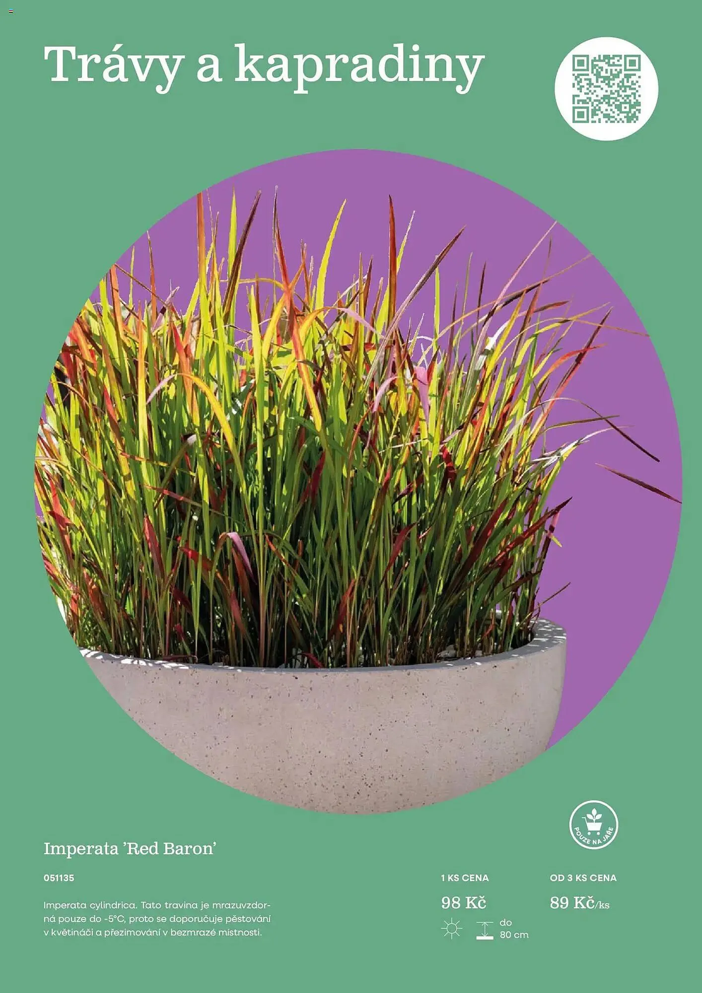 Starkl katalog - 25. února 31. prosince 2026 - Page 75