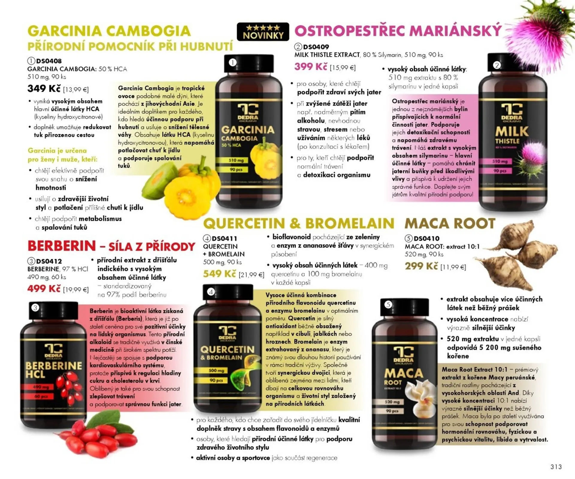 Dedra leták - 1. září 21. listopadu 2025 - Page 13