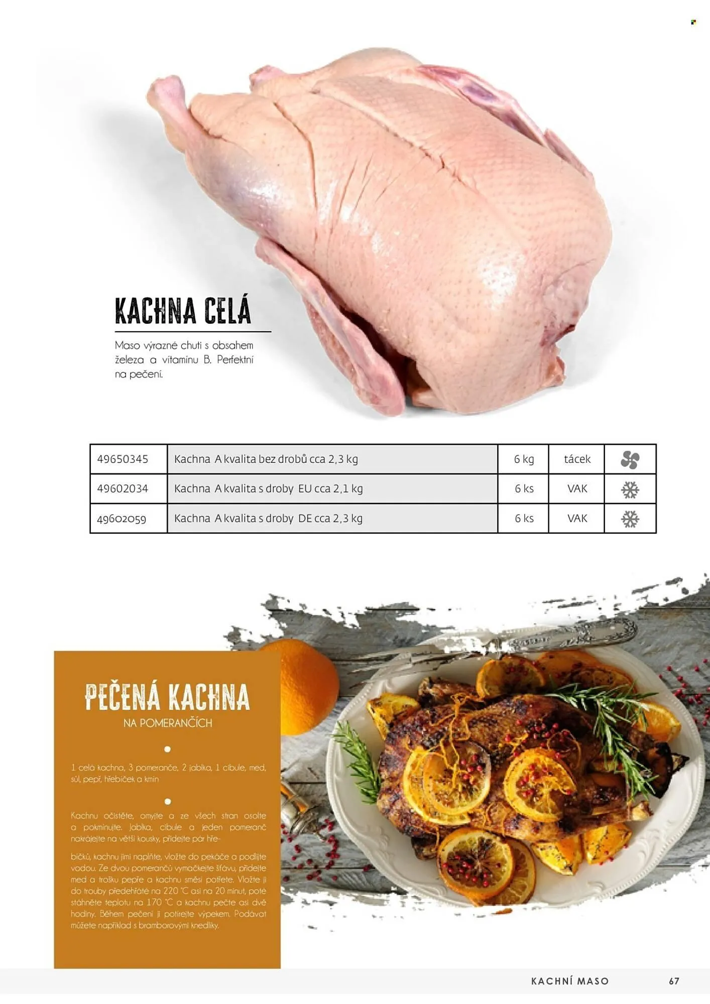 Jip leták - 3. května 31. prosince 2025 - Page 67