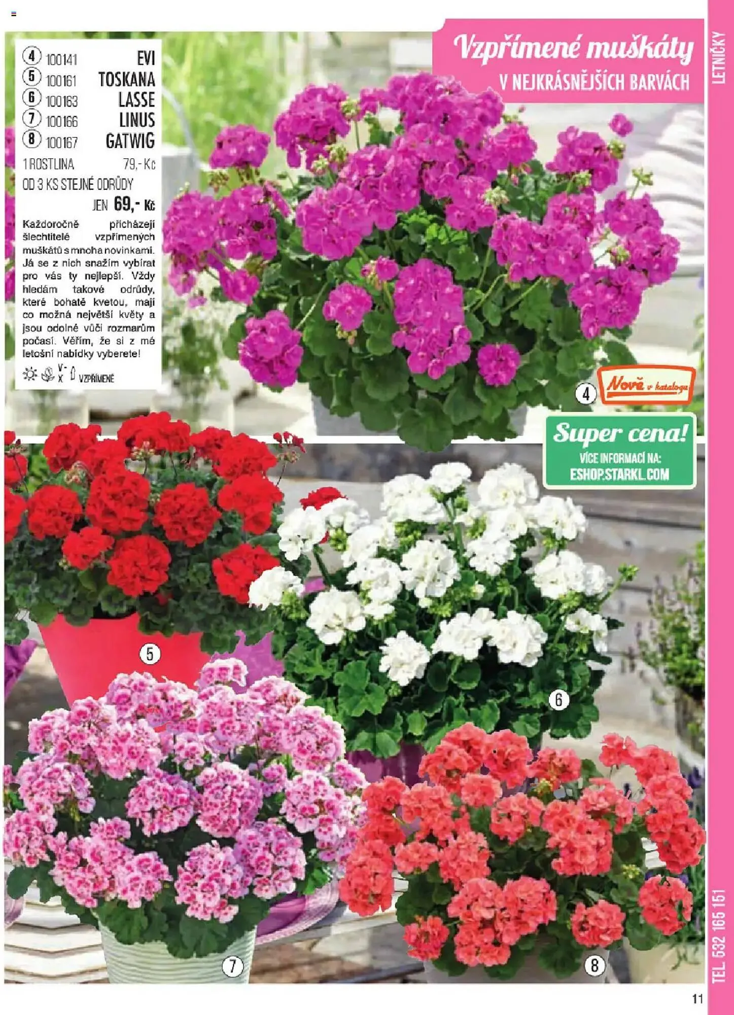 Starkl leták - 6. ledna 31. května 2025 - Page 11