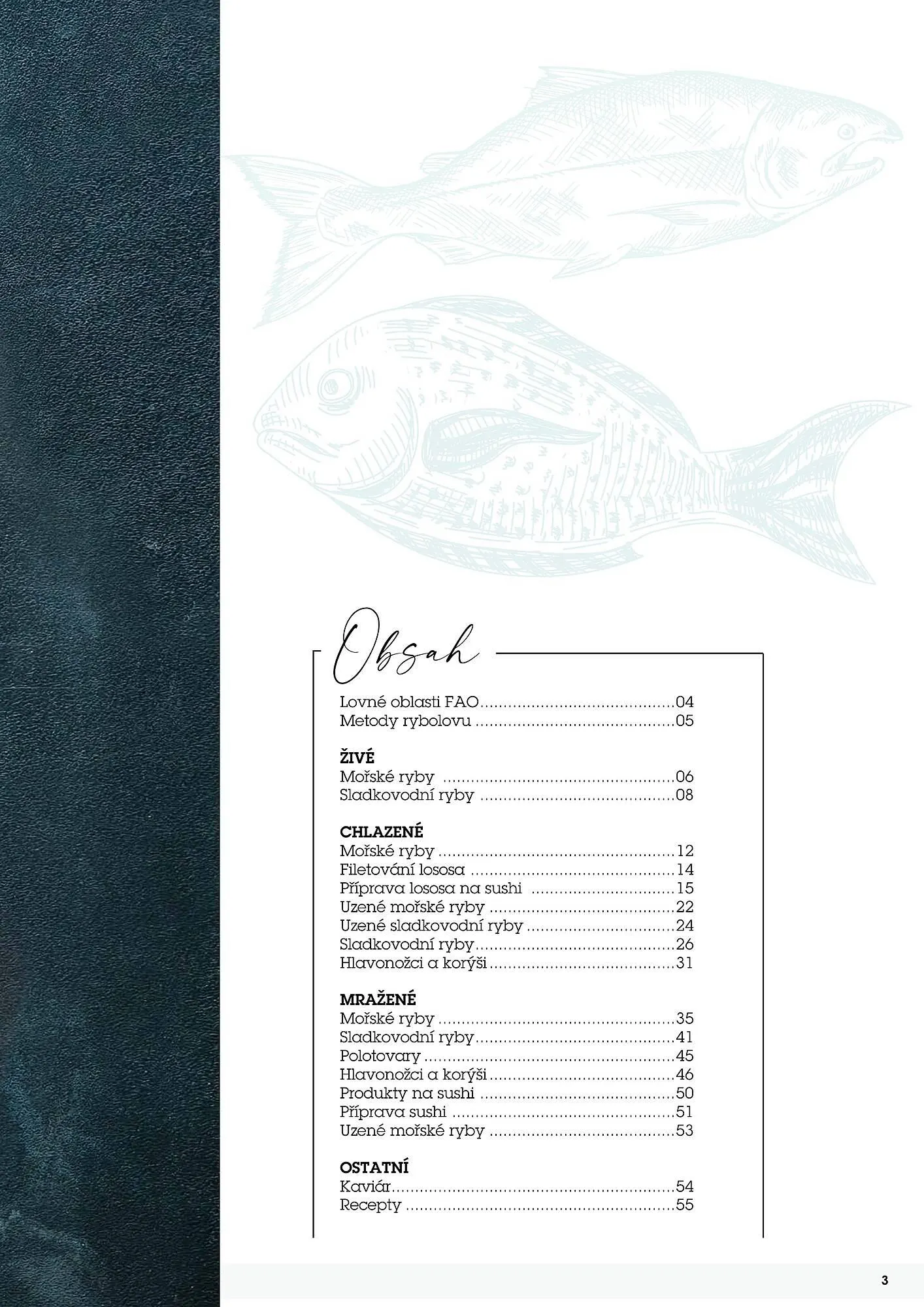 Jip RYBY leták - 22. května 29. prosince 2023 - Page 3