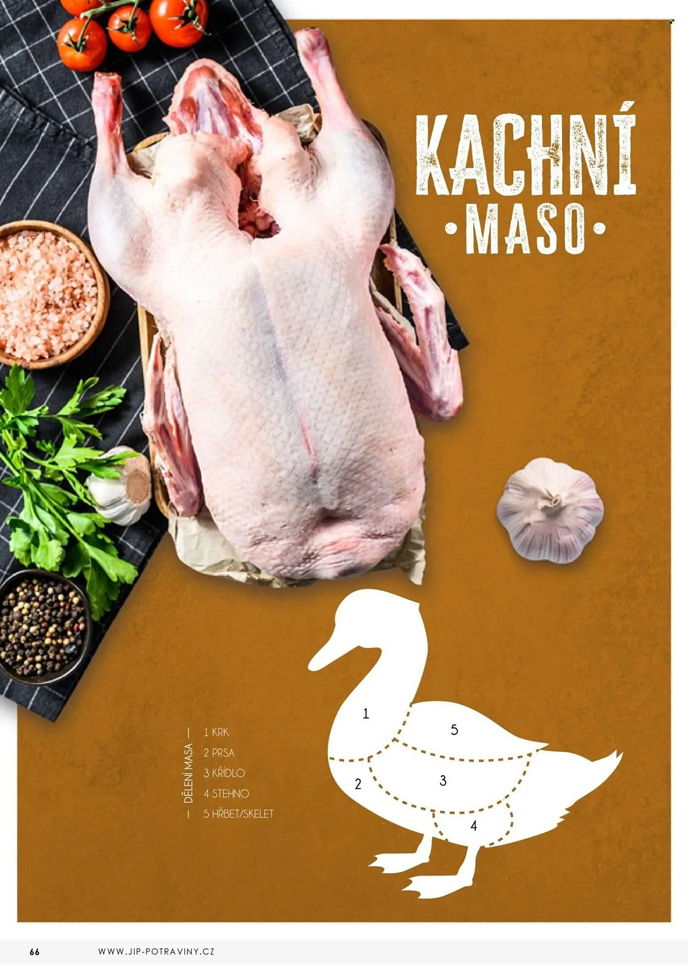 Jip leták - 3. května 31. prosince 2025 - Page 66