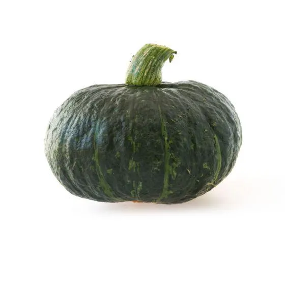 Dýně „Sweet Mama" BIO (ks) /CZ/