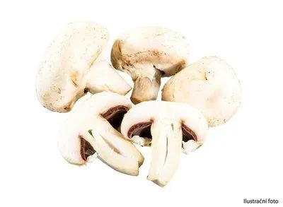 Česká Farma Žampiony zahradní