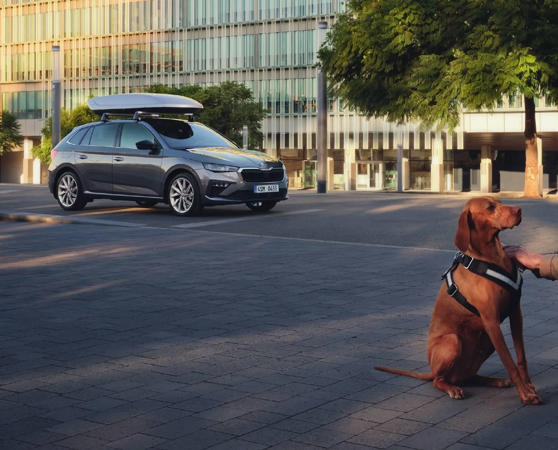 Škoda Scala leták - 12. července 31. prosince 2024 - Page 64