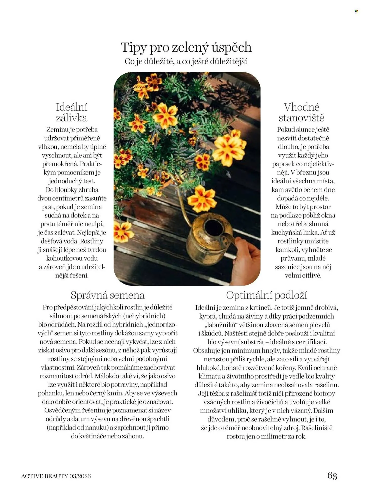 Dm drogerie leták - 6. března 9. dubna 2026 - Page 63