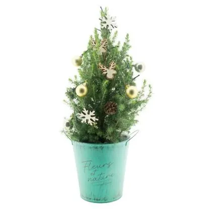 Royal Lemkes Smrk sivý (Picea glauca) v zinkovém vánočním květináči cca pr. 21cm