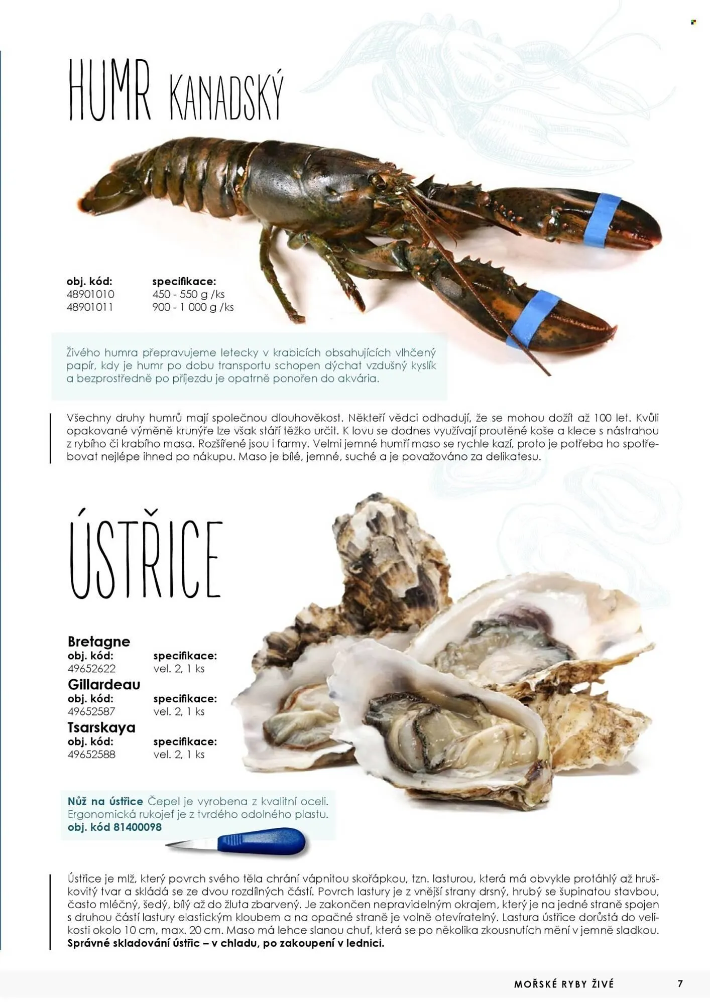 Jip leták - 7. května 31. prosince 2025 - Page 7