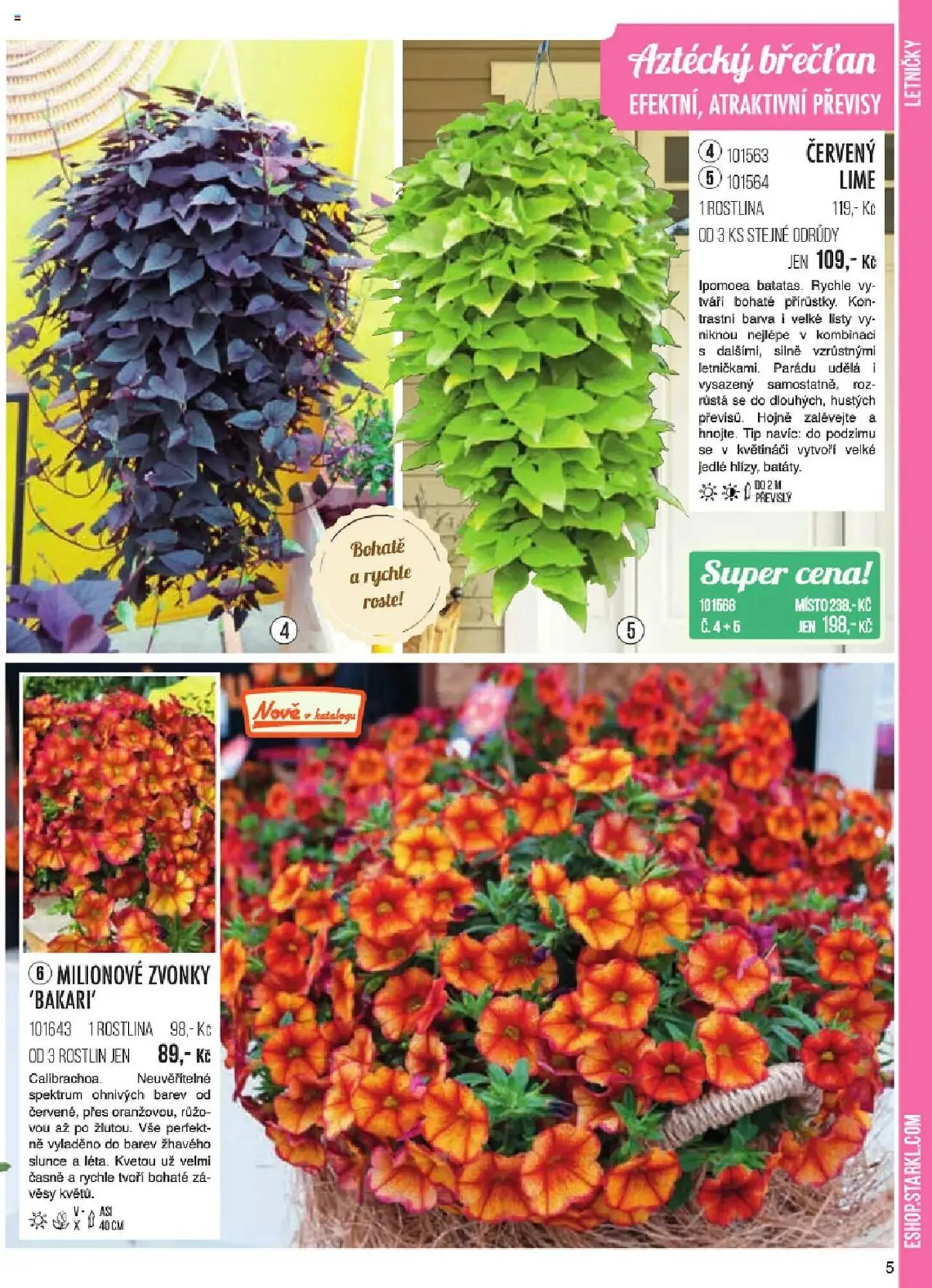 Starkl leták - 6. ledna 31. května 2025 - Page 5