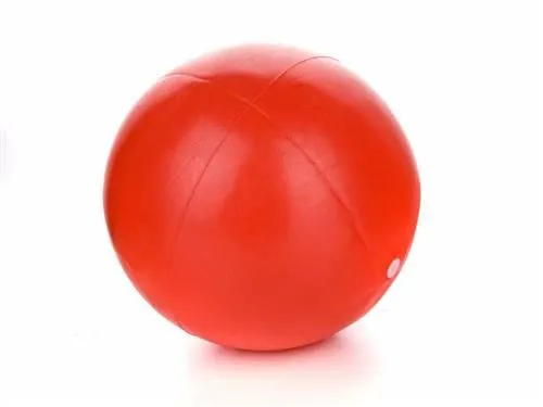 SPORTWELL Mini ball 20 cm