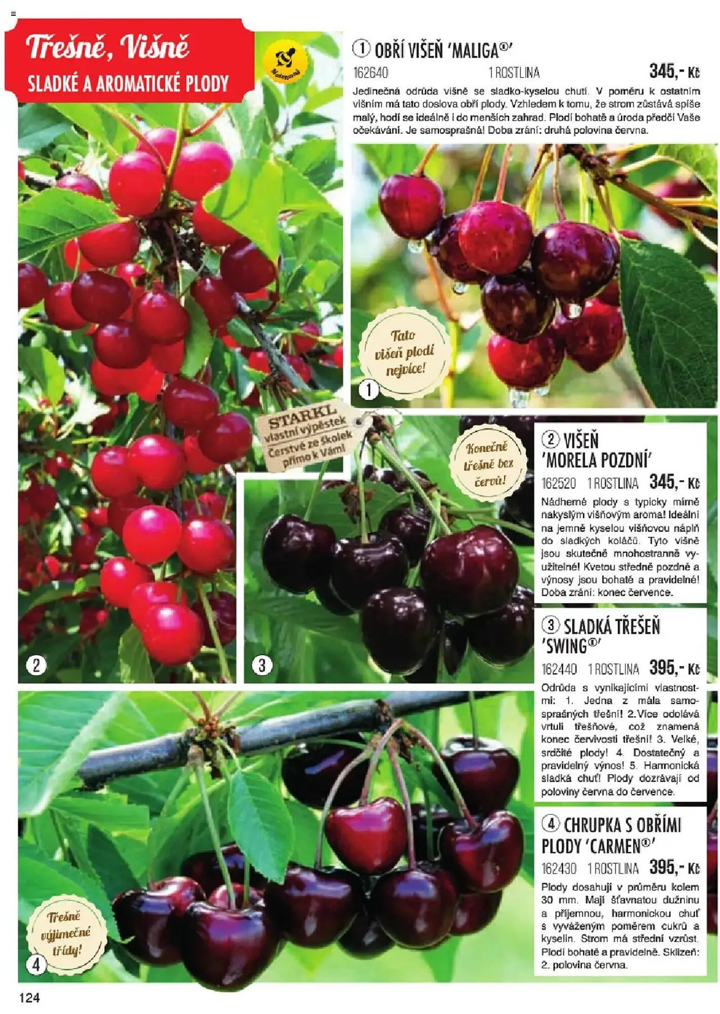 Starkl leták - 6. ledna 31. května 2025 - Page 124