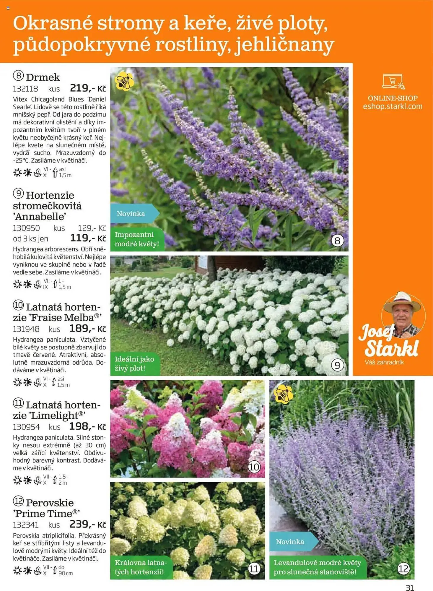 Starkl leták - 1. srpna 30. listopadu 2025 - Page 31