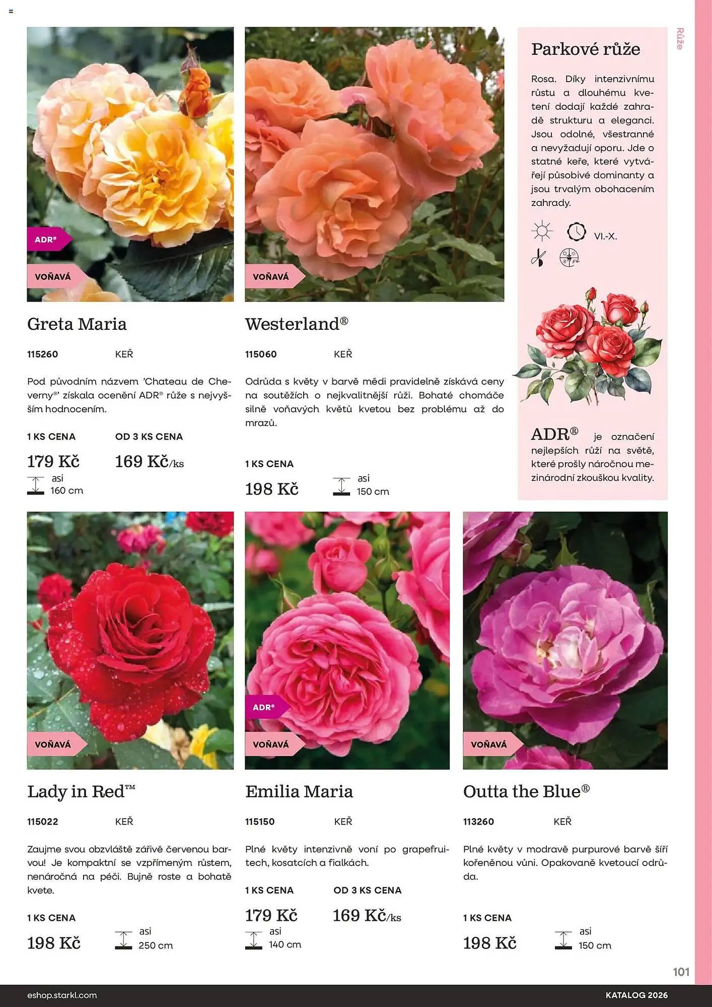 Starkl katalog - 25. února 31. prosince 2026 - Page 101