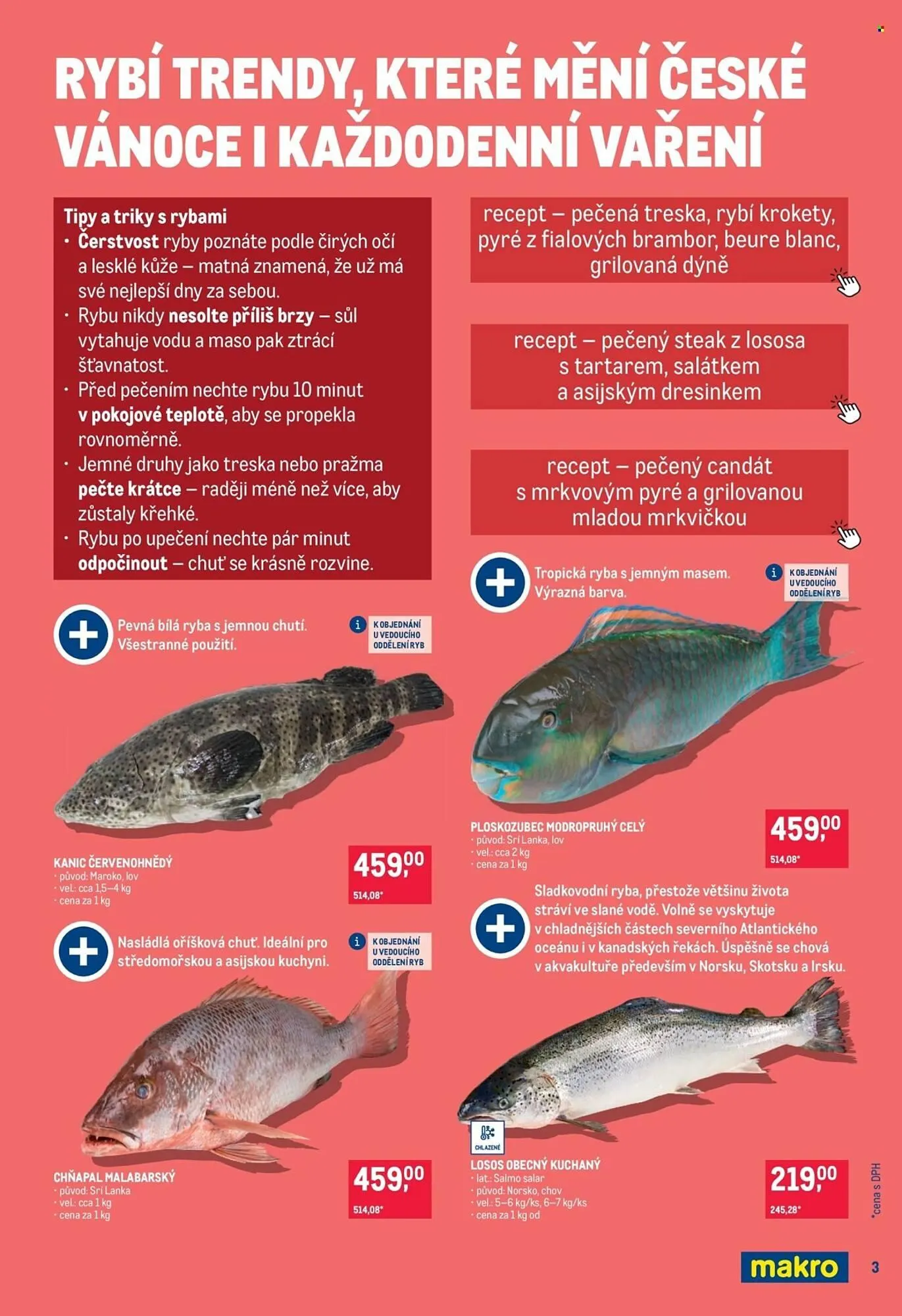 Makro leták - 3. prosince 16. prosince 2025 - Page 3