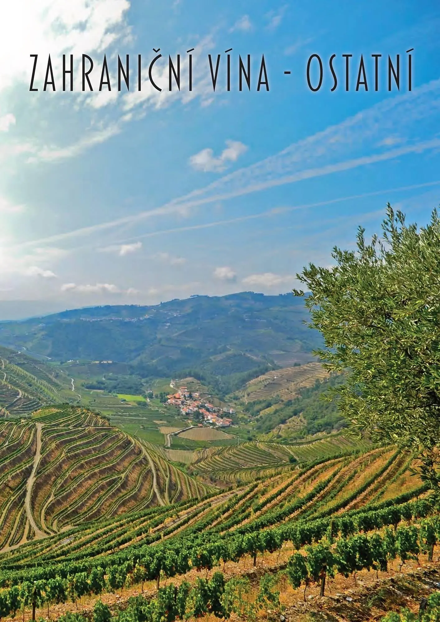 Jip leták - 9. března 31. prosince 2025 - Page 79