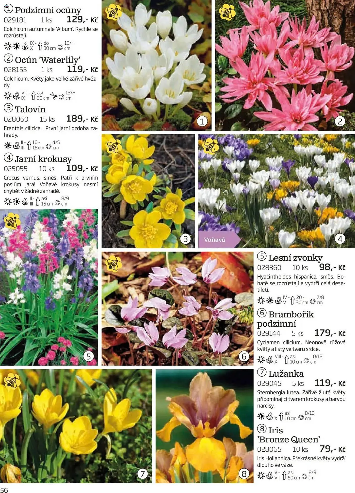 Starkl leták - 1. srpna 30. listopadu 2025 - Page 56