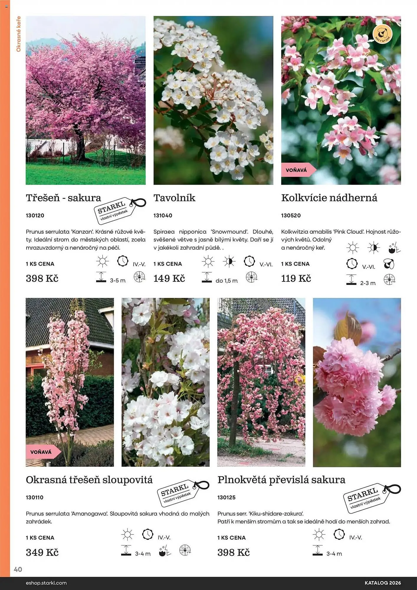 Starkl katalog - 25. února 31. prosince 2026 - Page 40