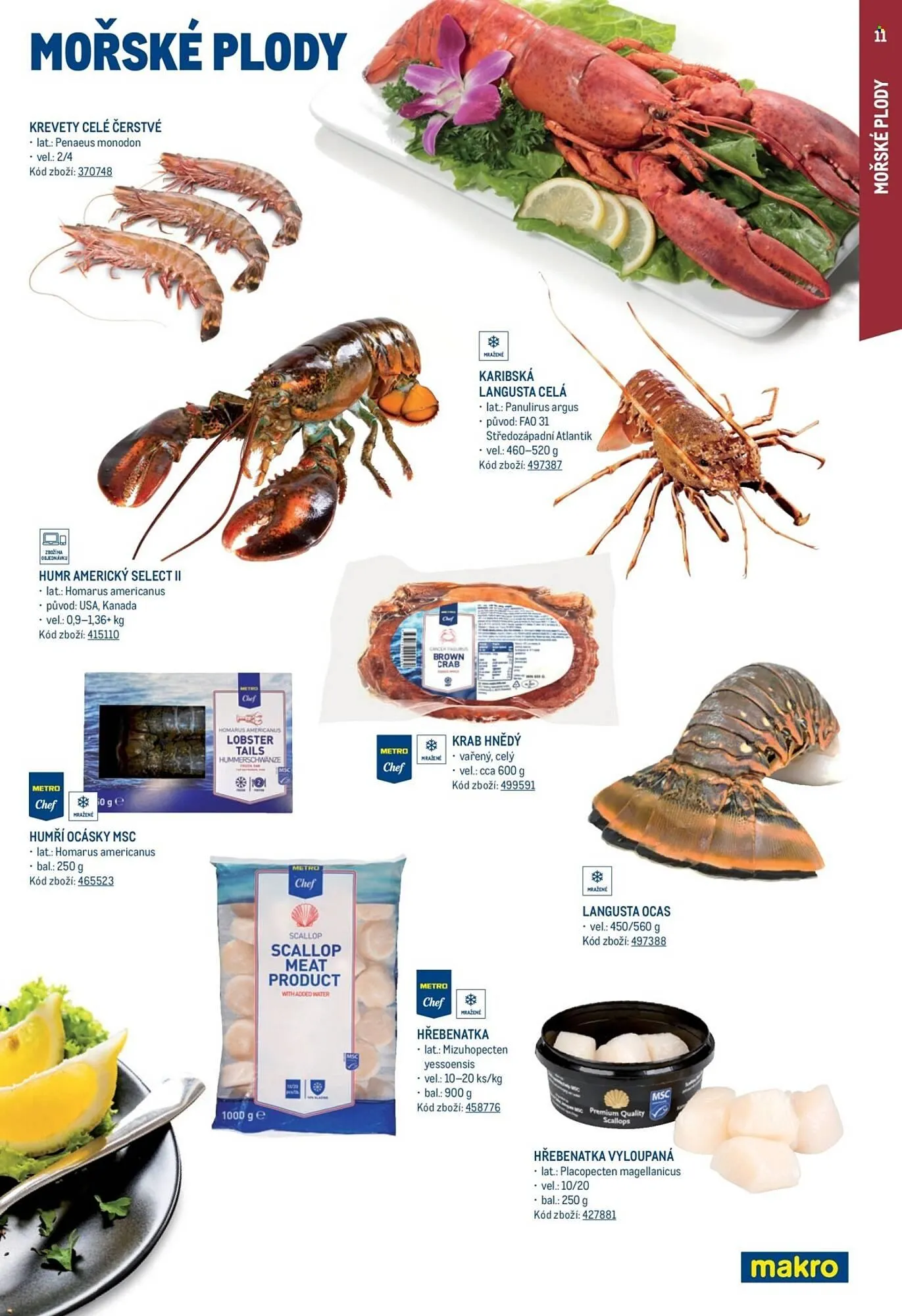 Makro leták - 12. ledna 31. prosince 2026 - Page 11