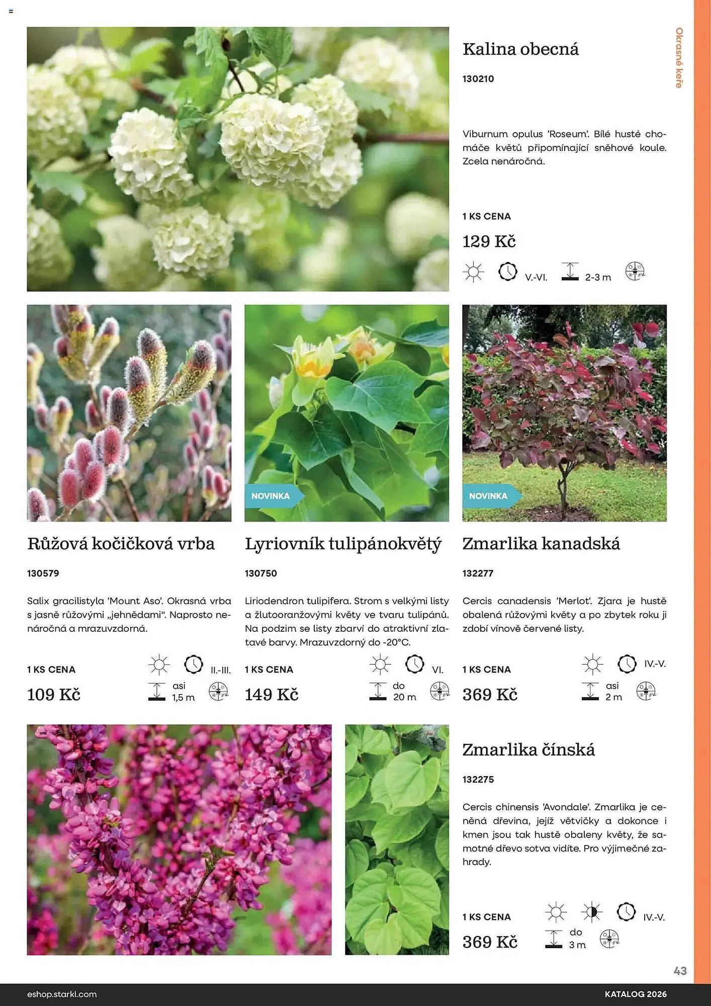 Starkl katalog - 25. února 31. prosince 2026 - Page 43