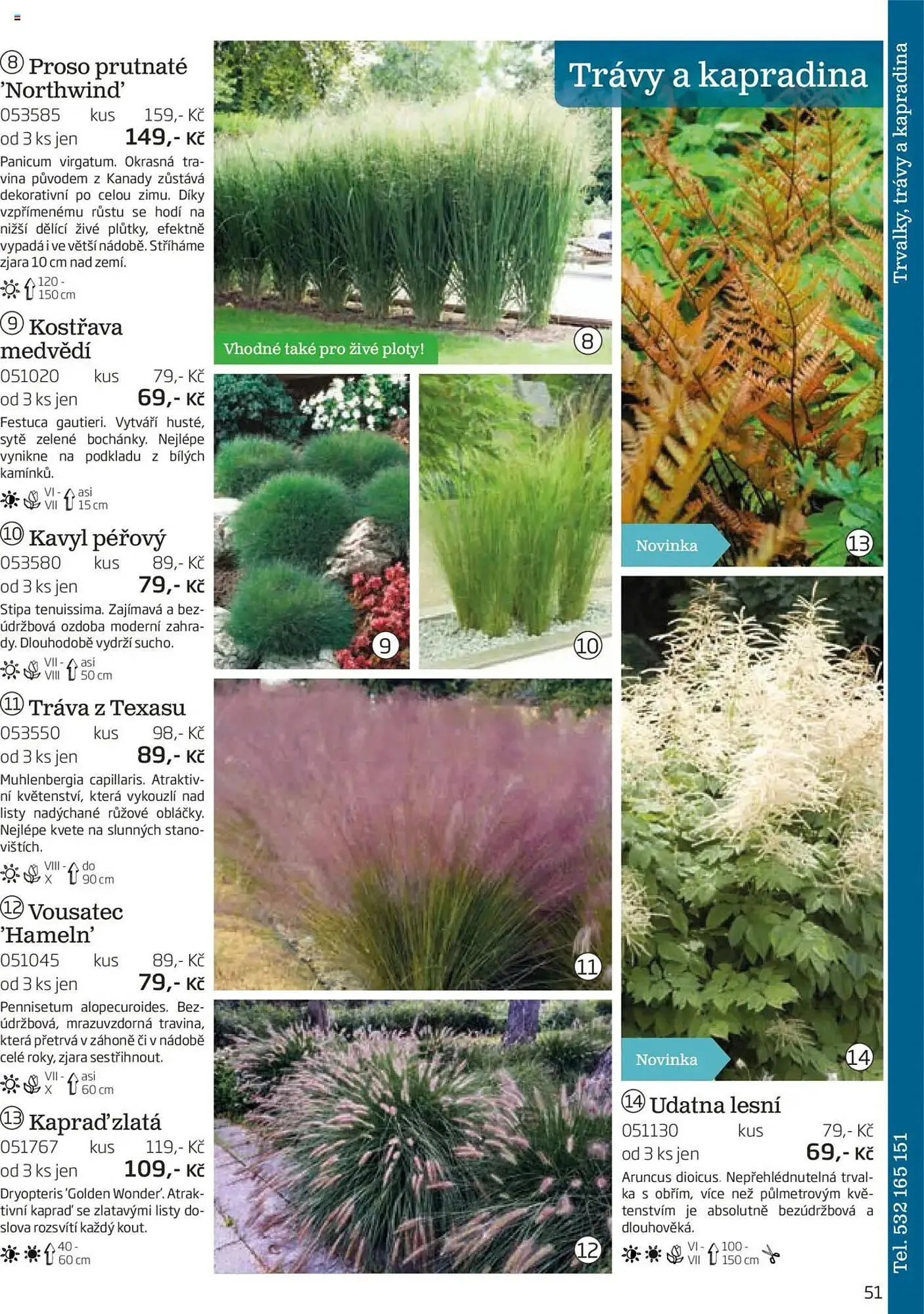 Starkl leták - 1. srpna 30. listopadu 2025 - Page 51