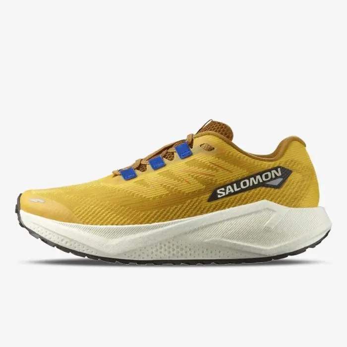 SALOMON SALOMON AERO BLAZE 3 GRVL SPI