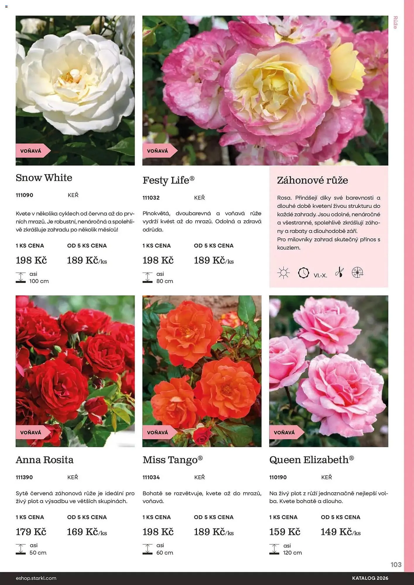Starkl katalog - 25. února 31. prosince 2026 - Page 103