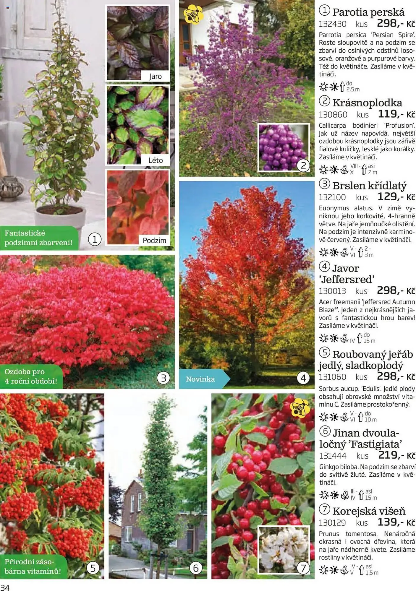 Starkl leták - 1. srpna 30. listopadu 2025 - Page 34