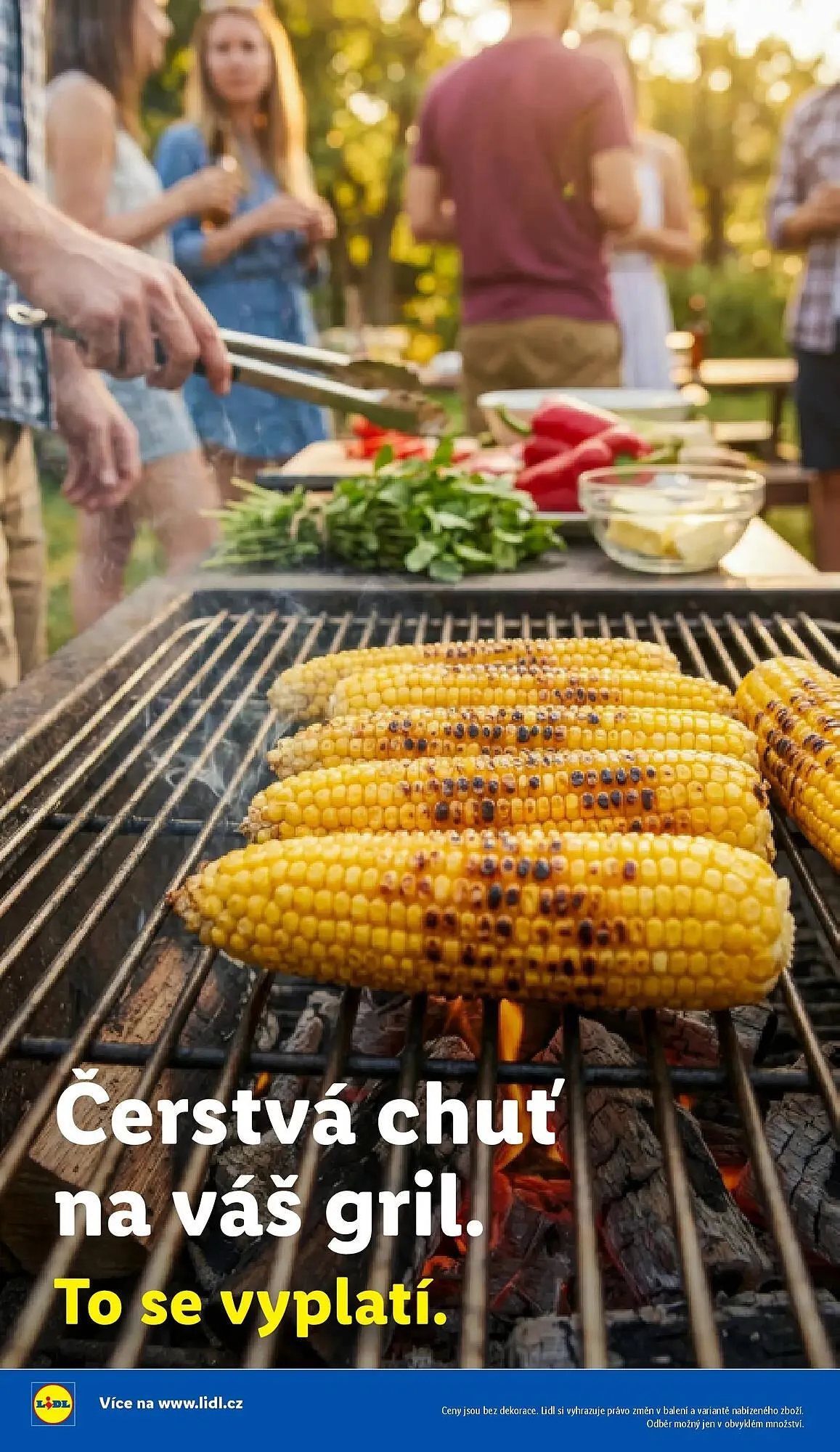 Lidl leták - 5. května 31. srpna 2026 - Page 40