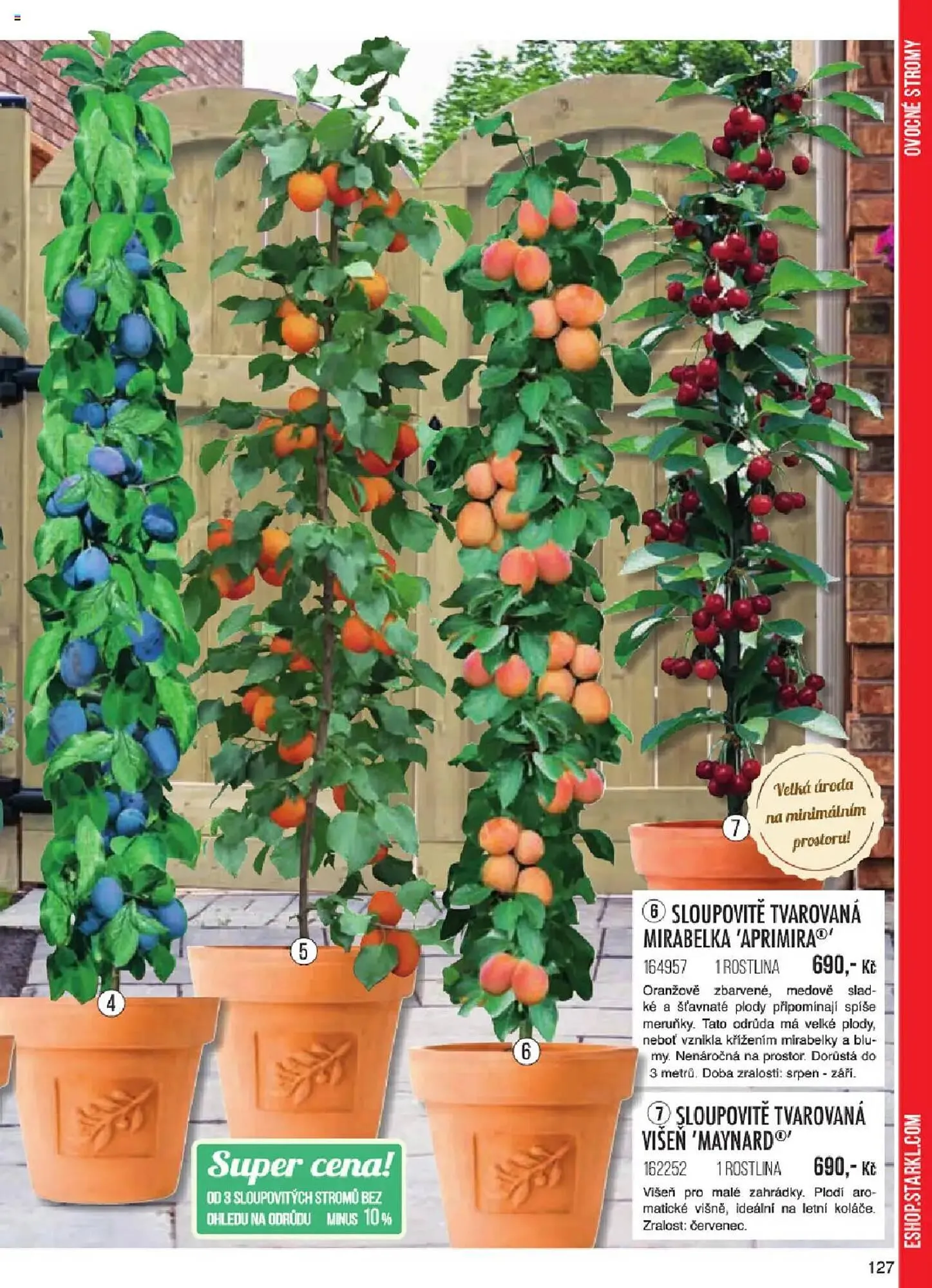 Starkl leták - 6. ledna 31. května 2025 - Page 127