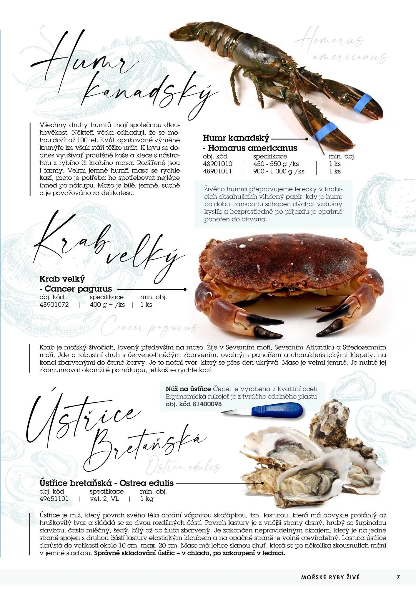 Jip RYBY leták - 22. května 29. prosince 2023 - Page 7