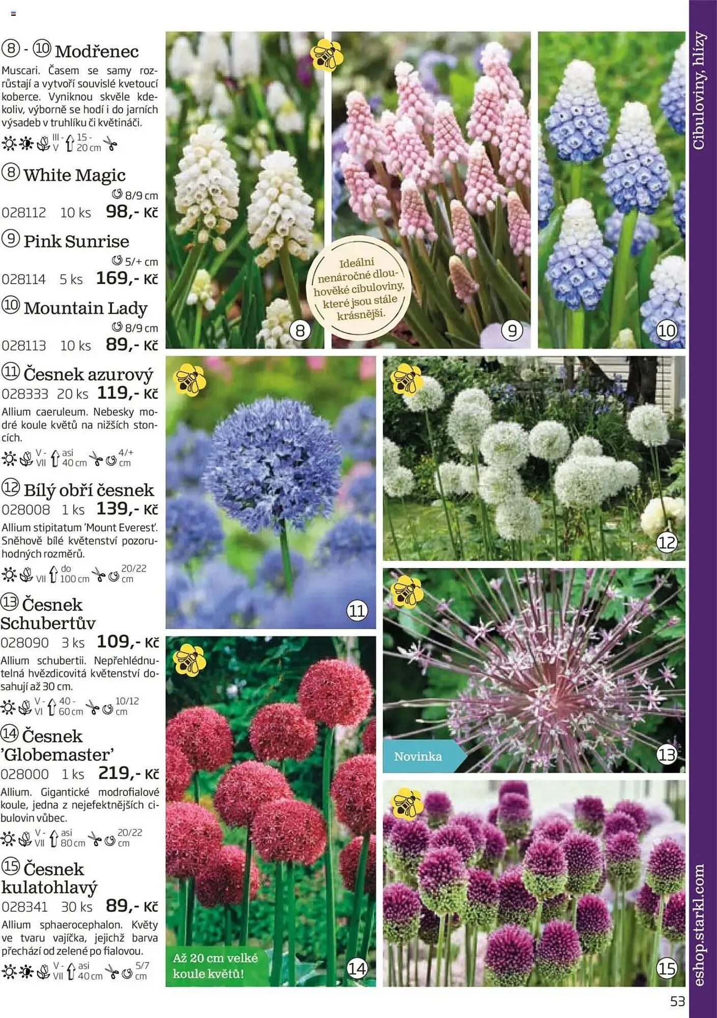 Starkl leták - 1. srpna 30. listopadu 2025 - Page 53