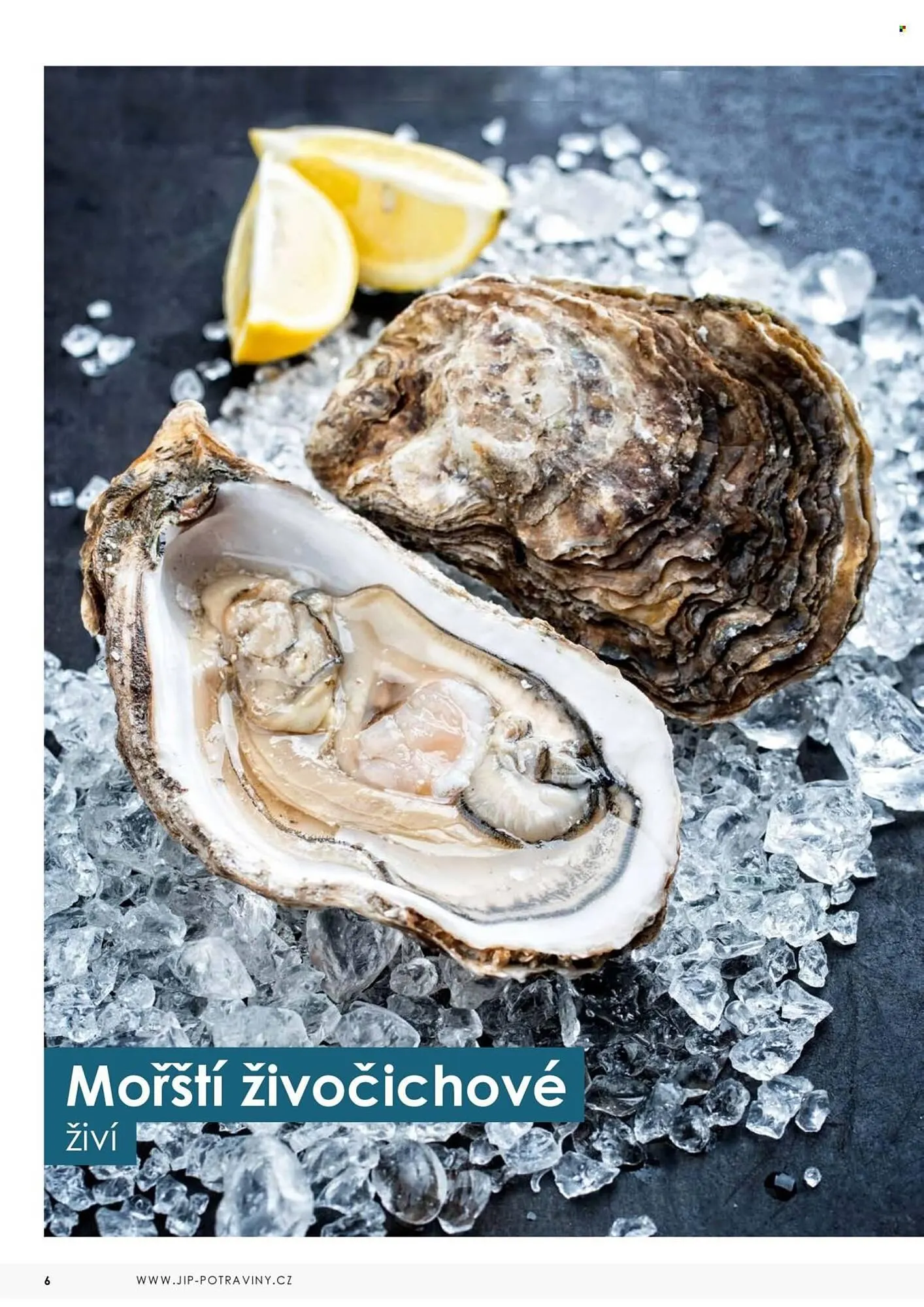 Jip leták - 7. května 31. prosince 2025 - Page 6