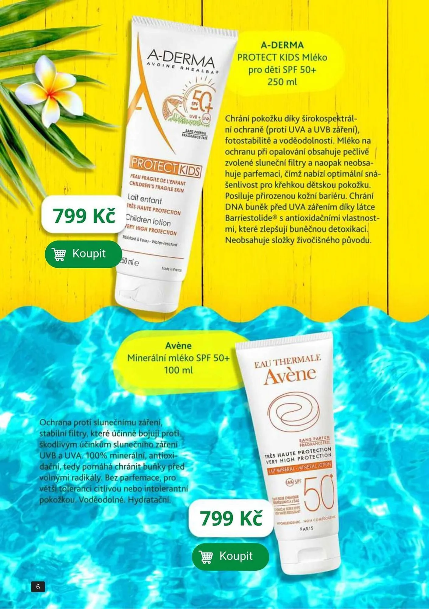 Lekarna leták - 15. dubna 31. srpna 2024 - Page 6