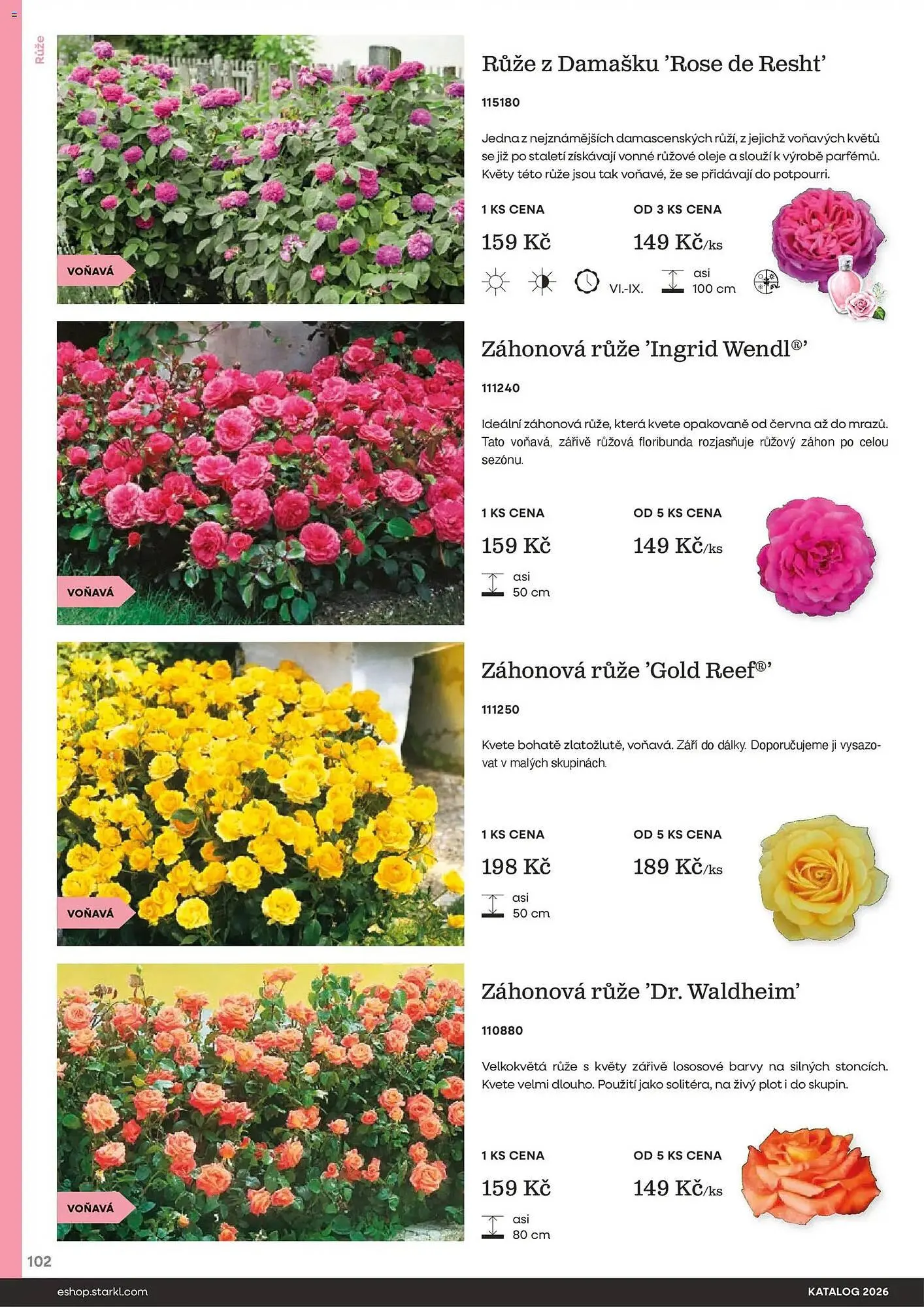 Starkl katalog - 25. února 31. prosince 2026 - Page 102