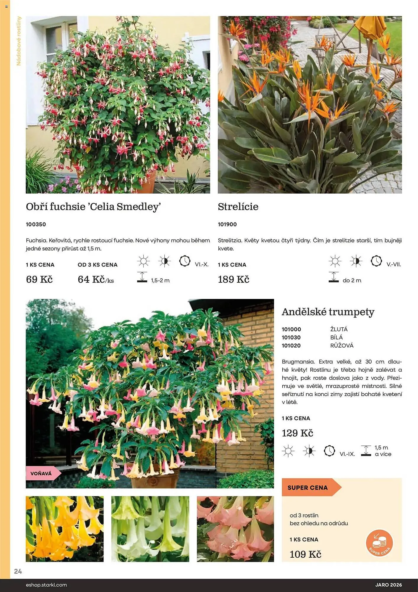 Starkl katalog - 25. února 31. května 2026 - Page 24