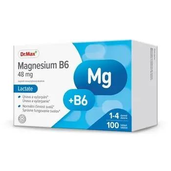 Dr. Max Magnesium B6 48 mg Lactate 100 tablet