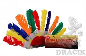 Indiánská čelenka