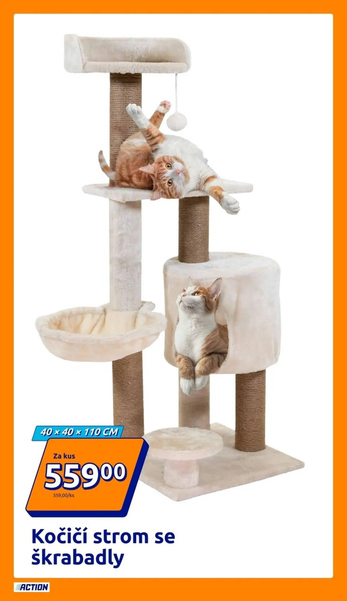 Action leták - 12. listopadu 18. listopadu 2025 - Page 13